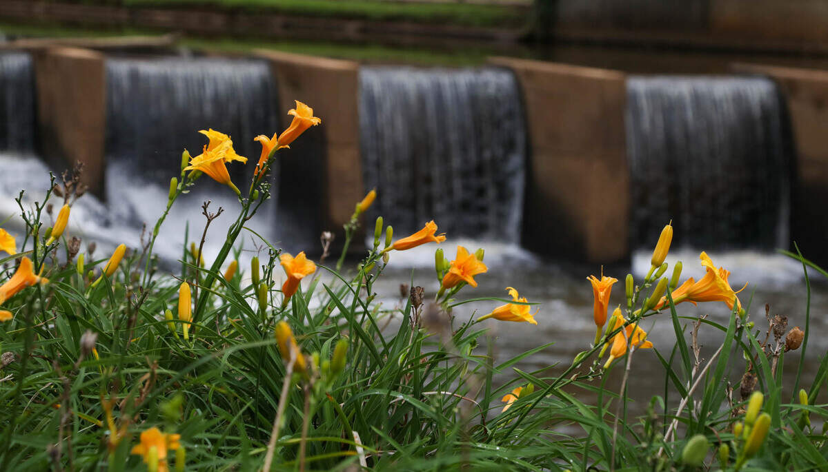 gville565.jpg Falls Park on the Reedy River in Greenville, photographed in August 2020.