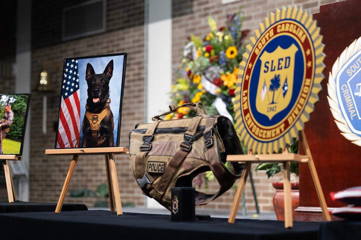 State Law Enforcement Division holds a funeral for police K-9 Rico, who was killed last week while tracking a suspect. SLED agents who spoke at the funeral say Rico’s actions saved the lives of several human officers.