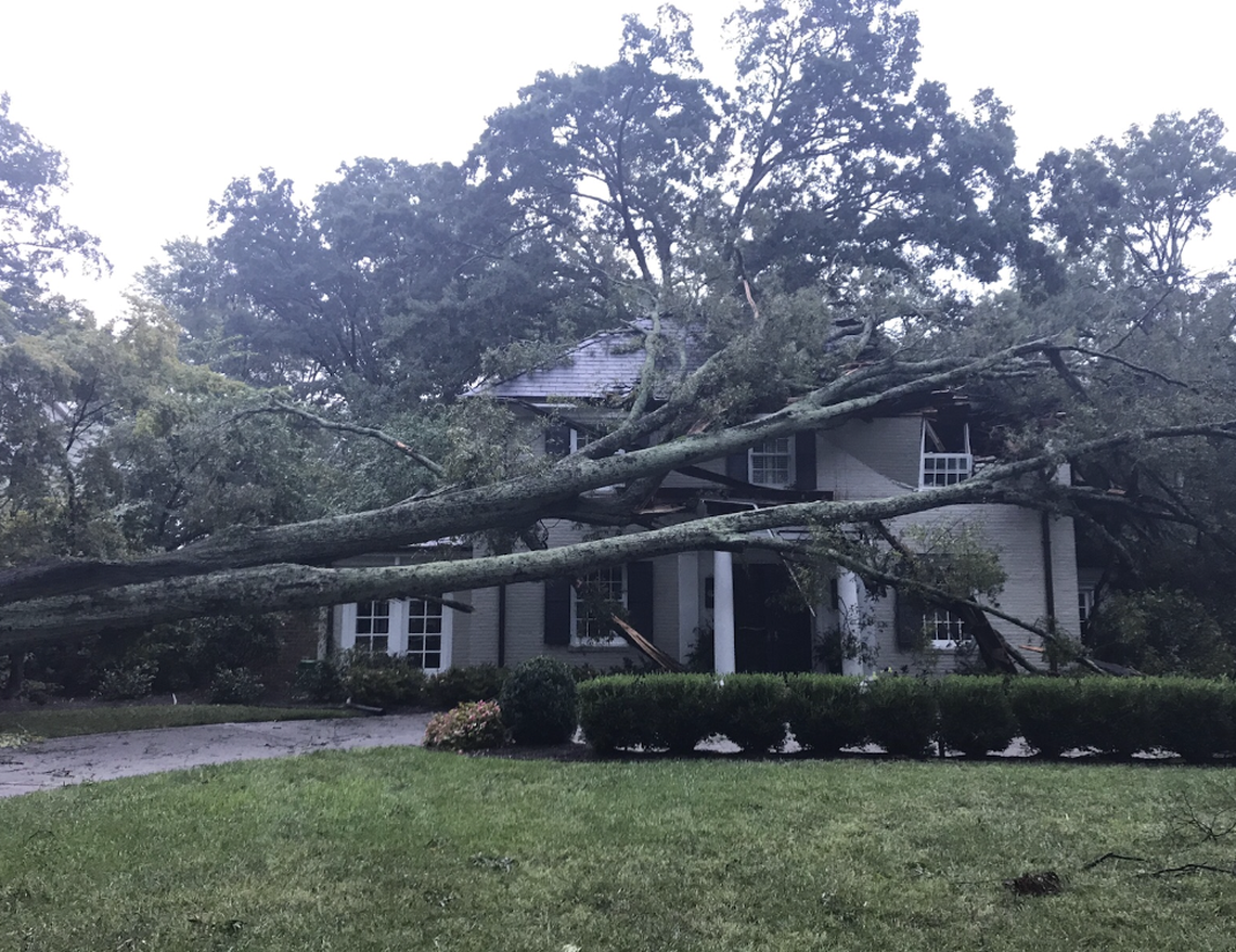 A tree fallen on a house on Queens Road West.