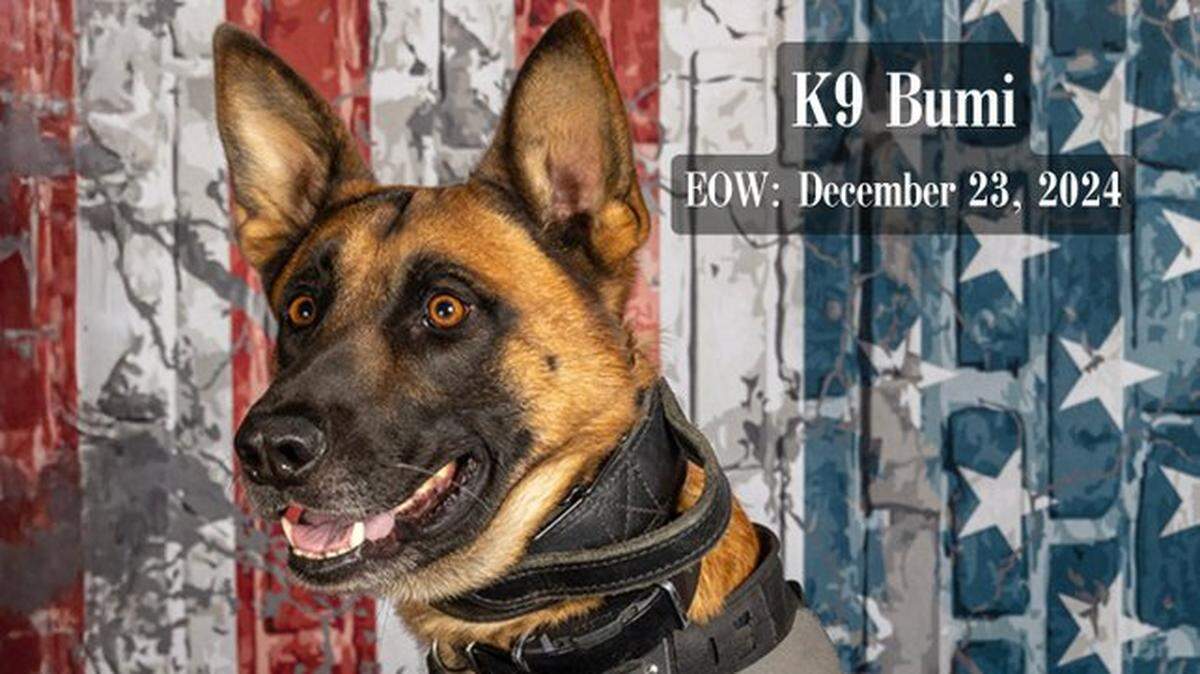 Richland County Sheriff’s Department K9 Bumi was shot and killed in the line of duty.
