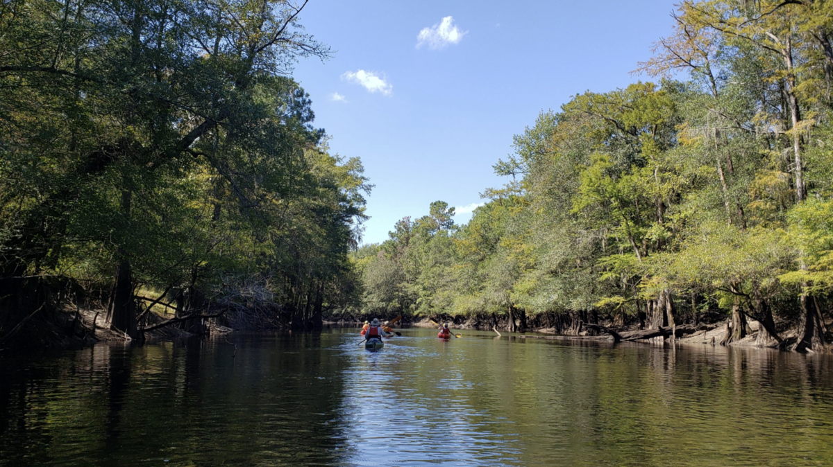 The property, known as Thorntree Preserve – Black River, is located on Highway 521 in Salters, SC.