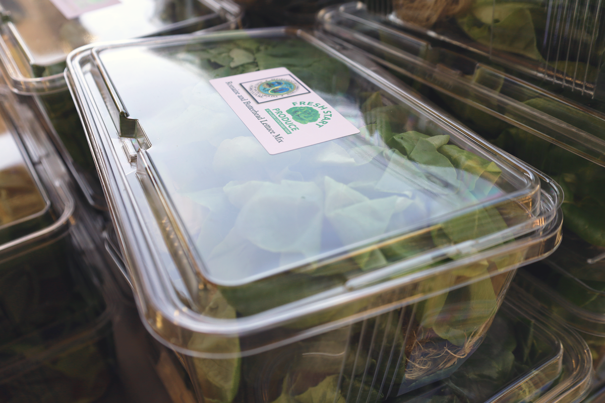 Fresh lettuce vertically farmed at Camille Graham Correctional Institution packaged, ready for delivery.
