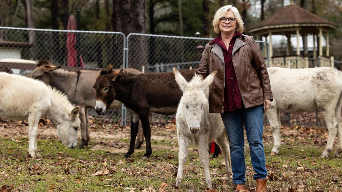 State Senator Katrina Shealy poses for a portrait with her pet donkeys at her home in Lexington County on Thursday, December 22, 2022. Shealy originally started raising donkeys to help protect her cows, but now keeps them as pets.