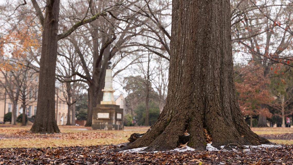 Ice, protected by trees from the rain, sits underneath trees in the University of South Carolina horseshoe on Friday, January 10, 2025.