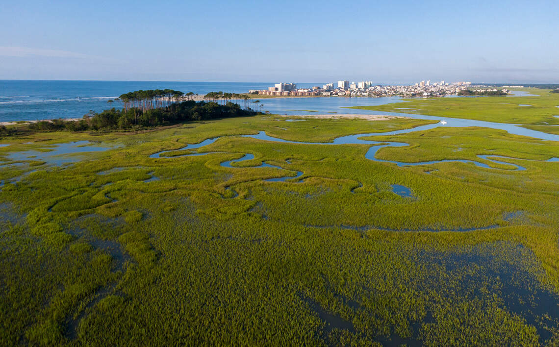Hog Inlet 5 must-visit South Carolina sea islands. Here’s what to know | Hilton ...