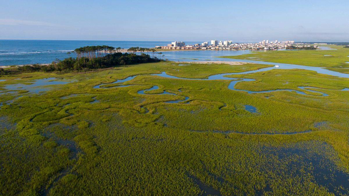Waites Island is separated from the Cherry Grove section of North Myrtle Beach by Hog Inlet. Aug. 21, 2021.
