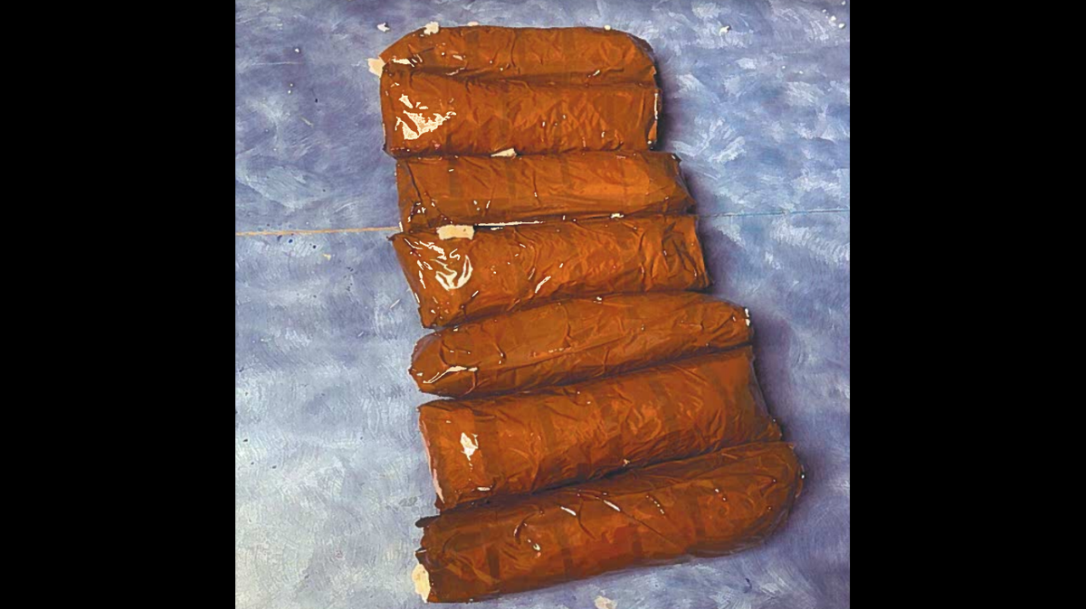 Eight pounds of methamphetamine was slathered in warm mustard and mailed to a woman in South Carolina, according to the Cherokee County Sheriff’s Office.