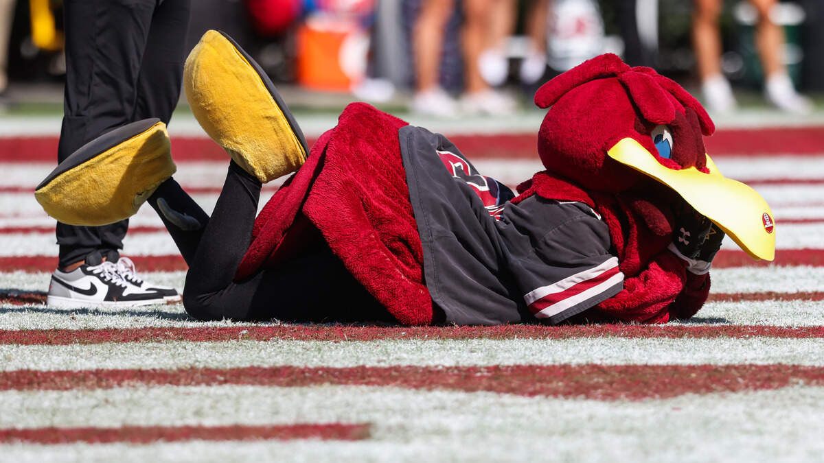 Cocky looks on during the second half of South Carolina’s game against Oklahoma at Williams-Brice Stadium in Columbia on Saturday, October 18, 2025.
