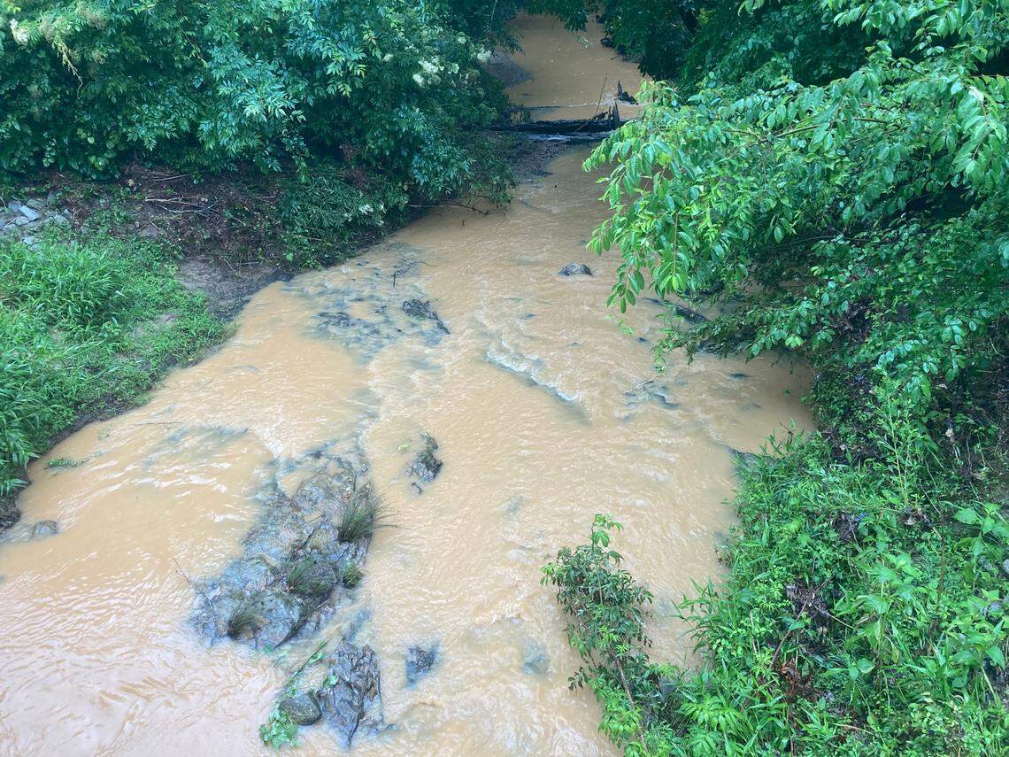 View of a creek below the Scout Motors electric vehicle site north of Columbia in June 2024. The Scout project has been under scrutiny by South Carolina regulators over what records show is a failure to control sediment that has clouded creeks.