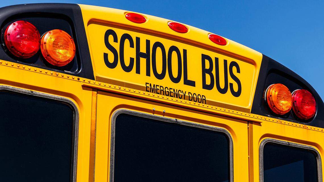 A school bus driver pulled a Taser while students were on board, South Carolina officials say.