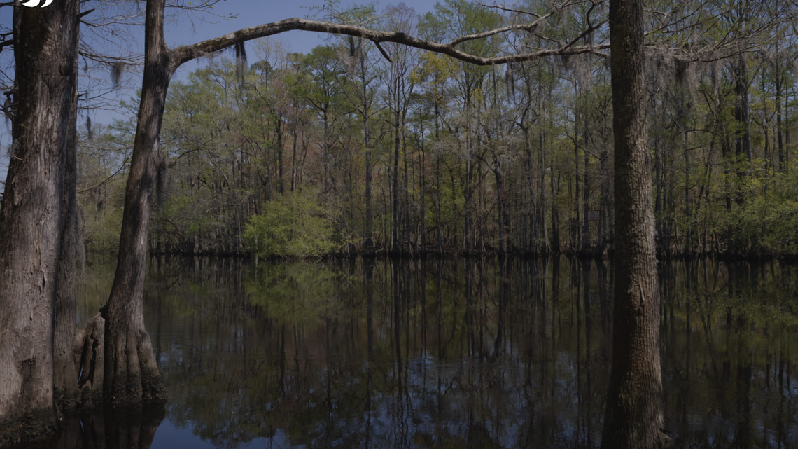 Chemicals released in North Carolina threaten South Carolina rivers, report says