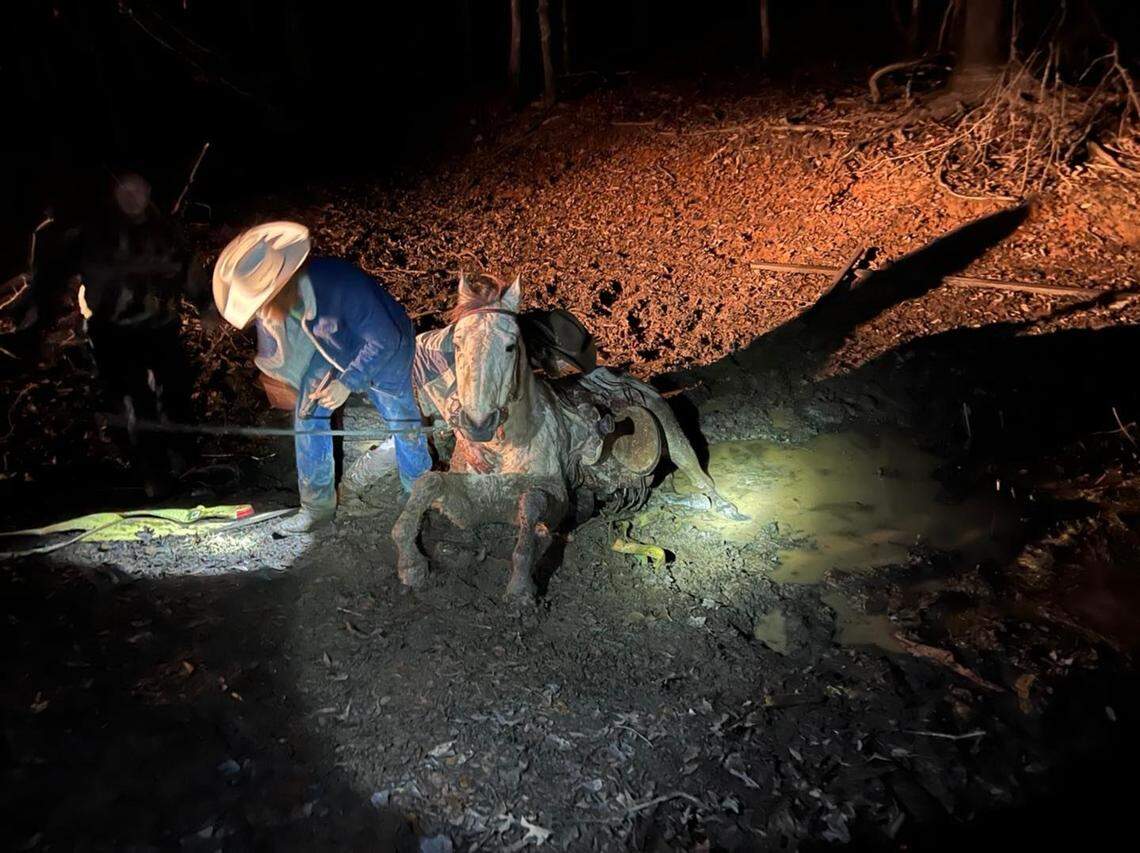 Heavy equipment and straps were used to pull the horse free Sunday, Dec. 19.