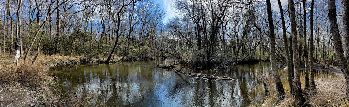 A boat launch is proposed for an easily accessible place along the Congaree Creek on land that will become an extension of the Congaree Creek Heritage Preserve.