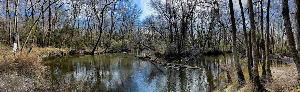 A boat launch is proposed for an easily accessible place along the Congaree Creek on land that will become an extension of the Congaree Creek Heritage Preserve.