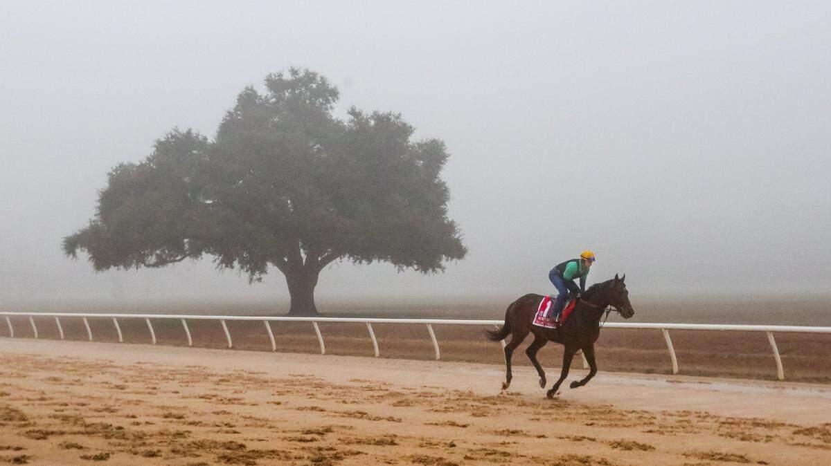 Aiken, S.C., recently topped Southern Living magazine’s list of “The South’s Best Small Towns 2018,” with the Lowcountry’s Beaufort coming in at No. 6. Here, 2013 Belmont Stakes winner Palace Malice gallops around Aiken Training Track with rider Gene Tucker aboard.