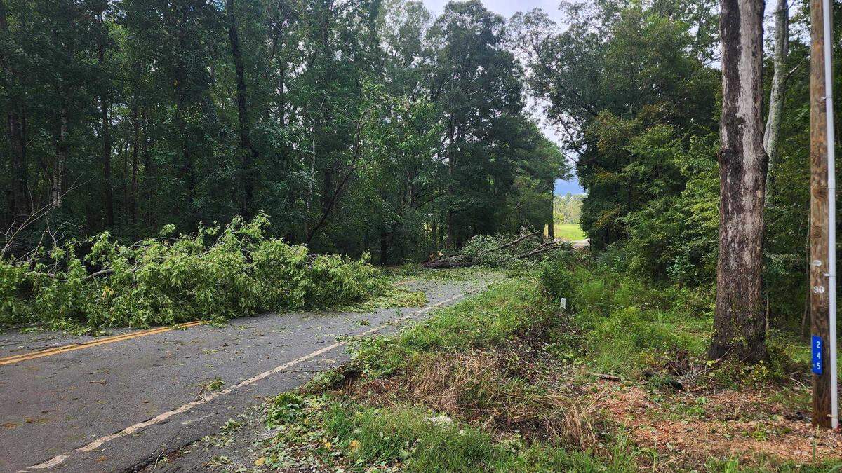 Two downed trees block motorists on Mill Stream Road in Lexington from traveling in either direction.
