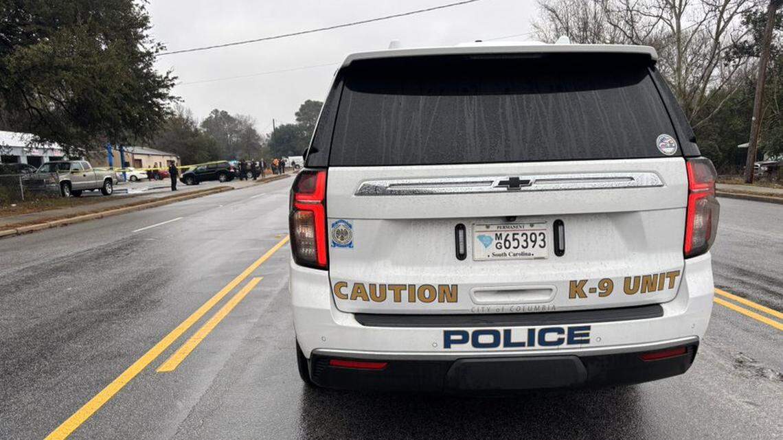 Is my vehicle safe from a break in Columbia? Police report series of break-ins