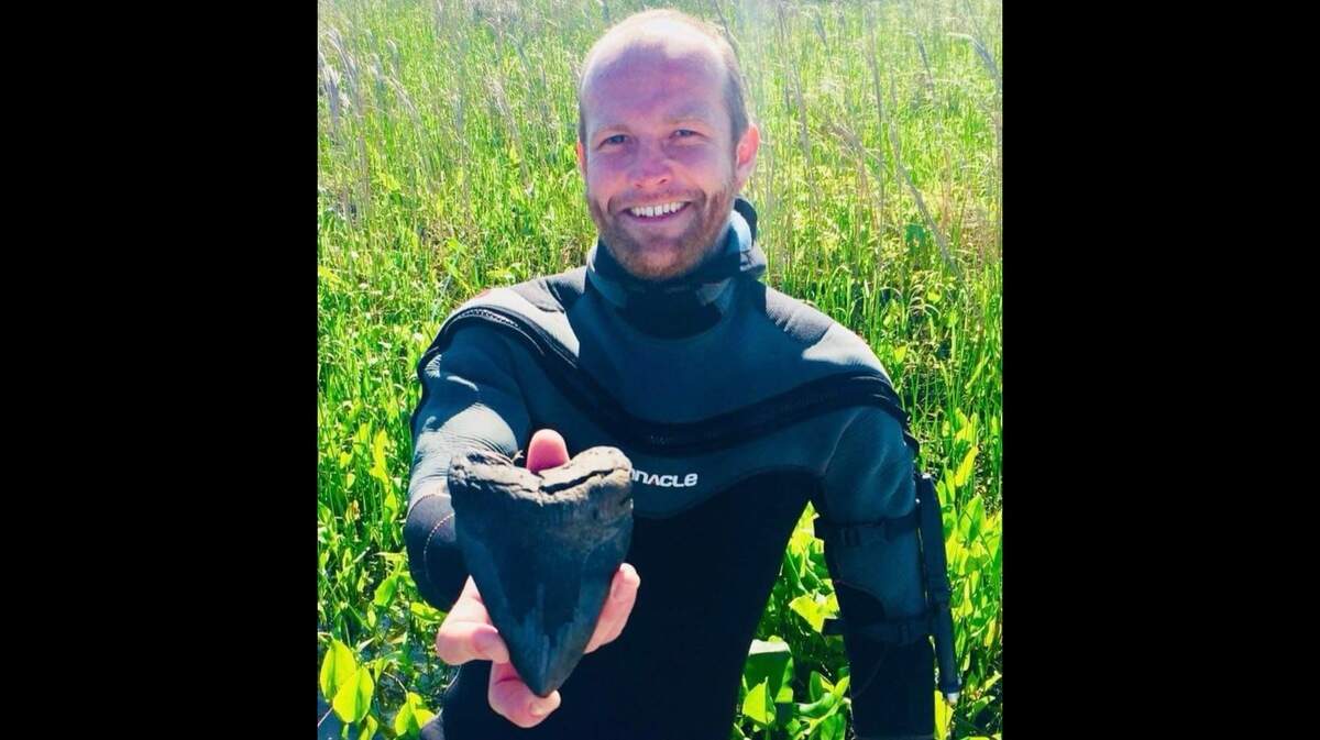 Seasoned diver William Georgitis survived an alligator attack in the Cooper River.