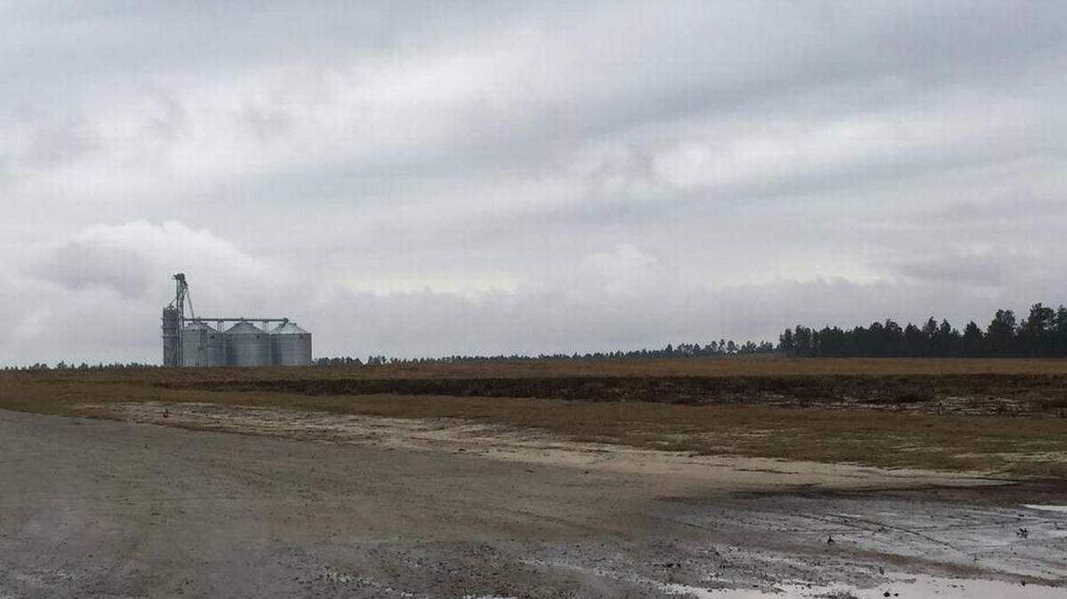 Mega farm in Aiken County
