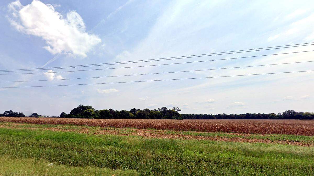 Prime Lexington County farmland along key highways including U.S. 321 could be lost to other purposes by 2040 if action isn’t taken.