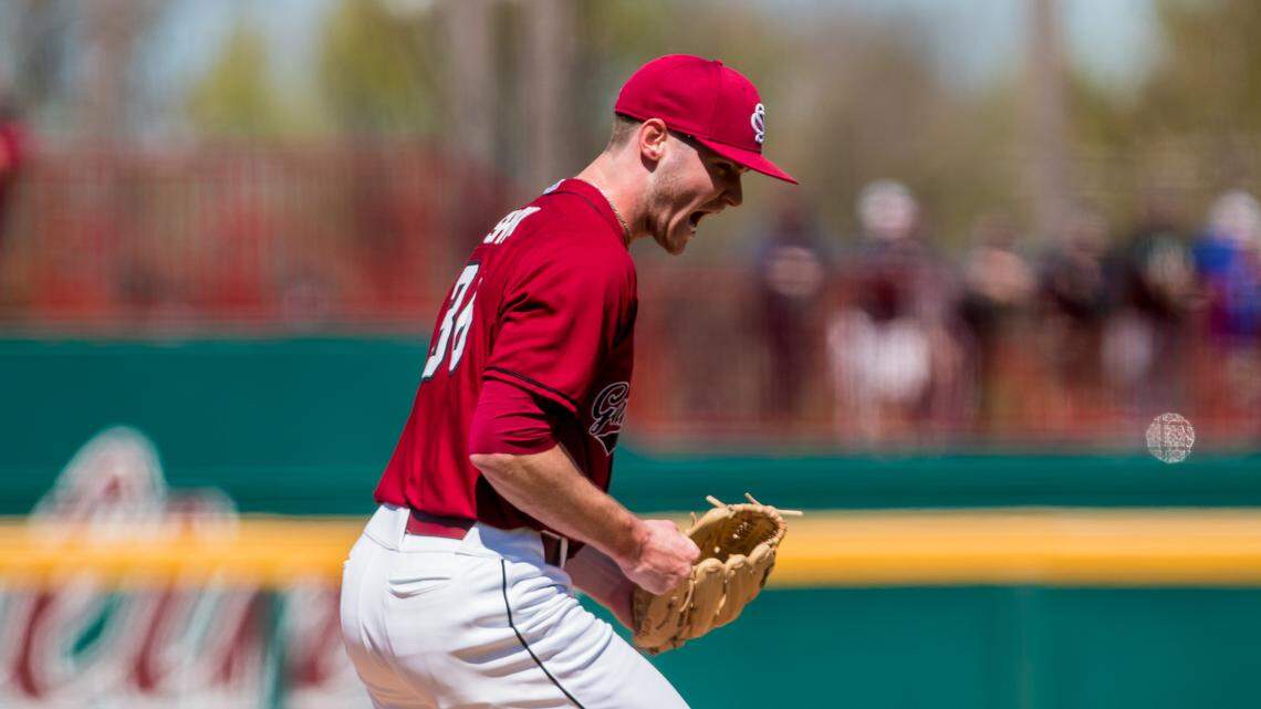 Former Gamecocks pitcher, Dutch Fork alum earns MLB call-up