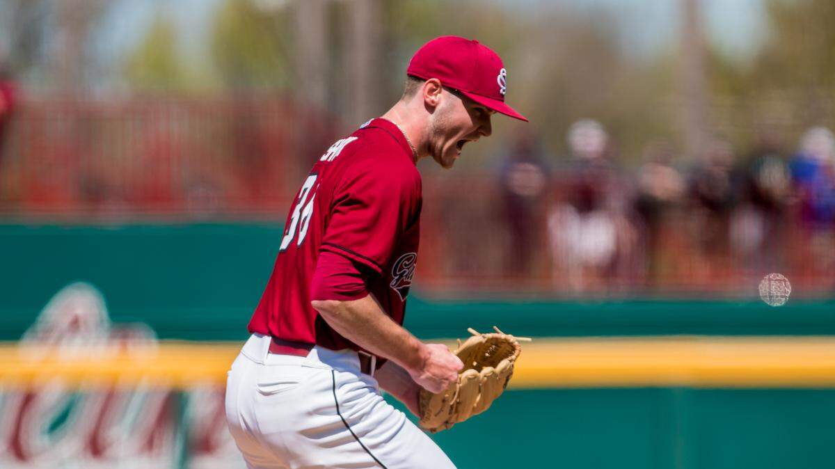 South Carolina pitcher TJ Shook (36) in 2019