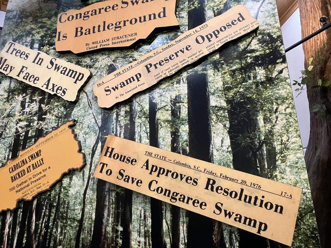 A display at Congaree National Park shows the history of how the preserve was saved.