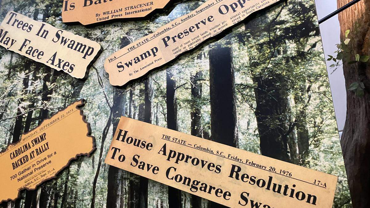 A display at Congaree National Park shows the history of how the preserve was saved. 