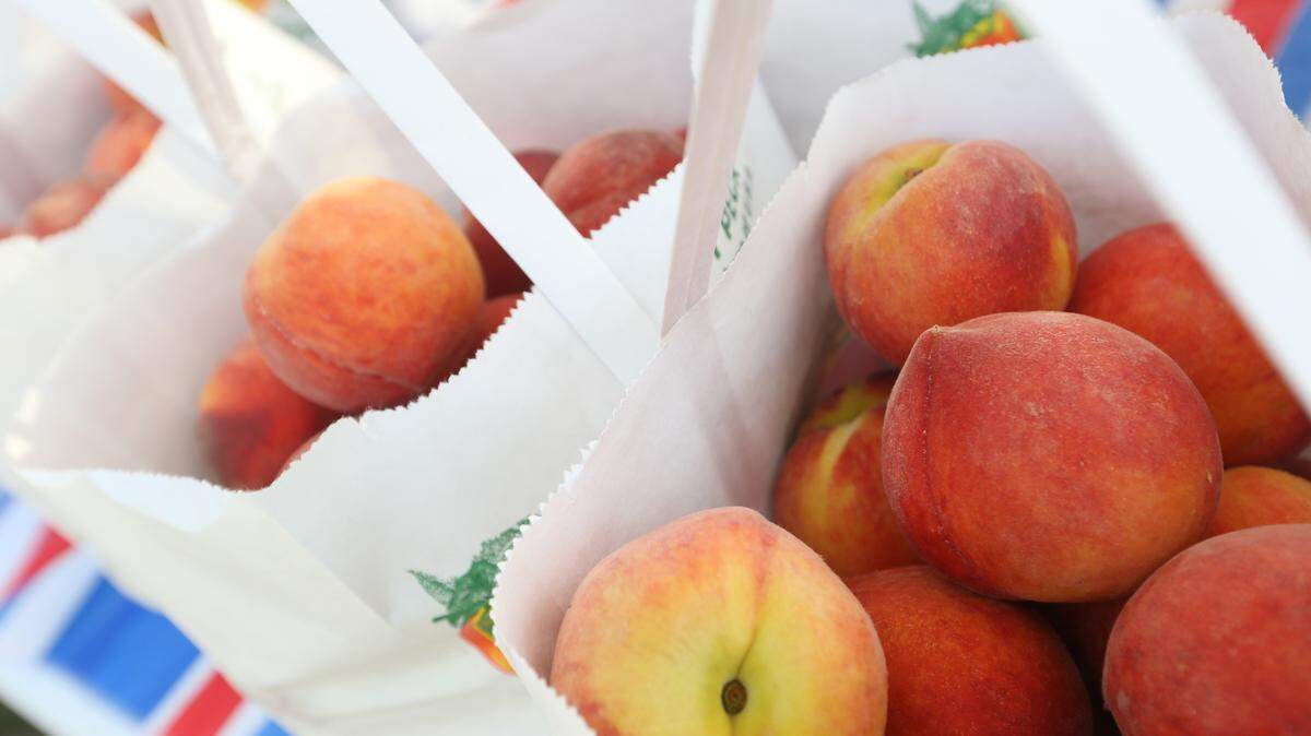 Scenes from the Lexington Peach Festival in Gilbert.