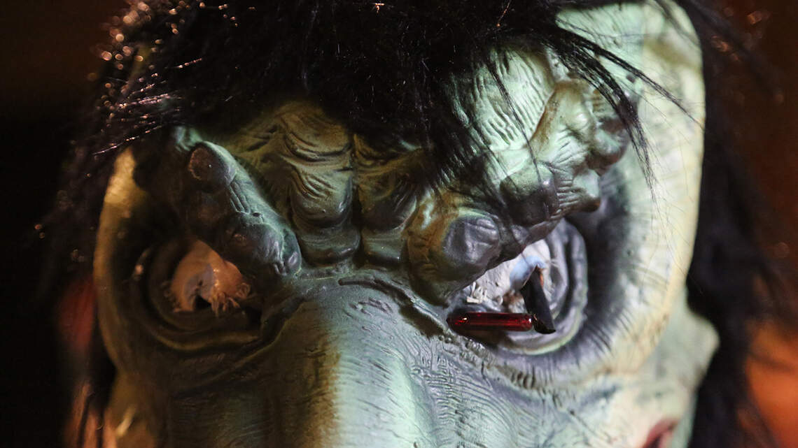Real or not, SC Lizard Man now has his own festival