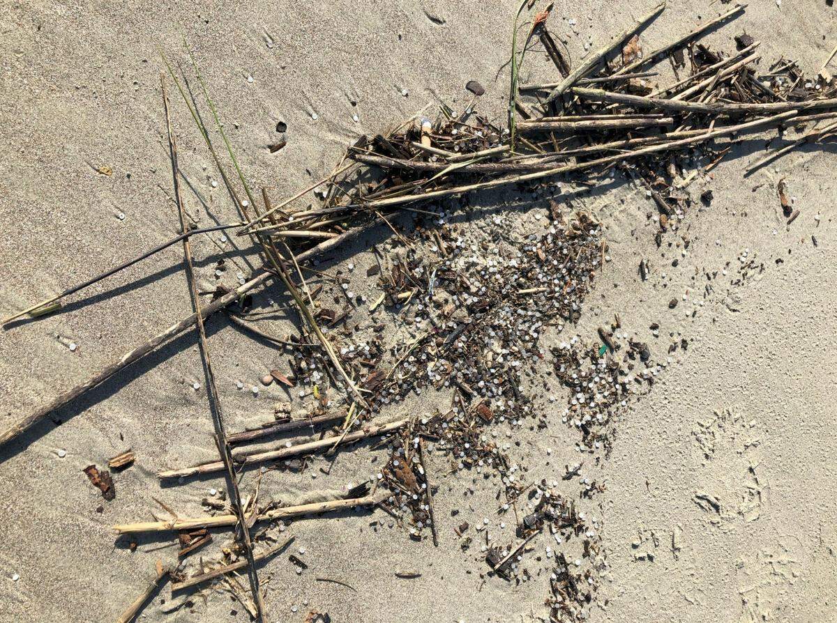 Nurdles were found along this Charleston area beach by inspectors.