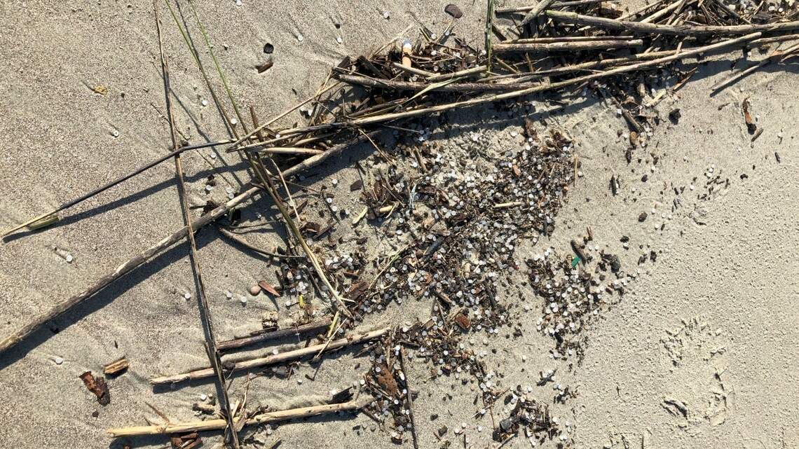 Company accused of polluting ocean with plastic has an ally: SC ports