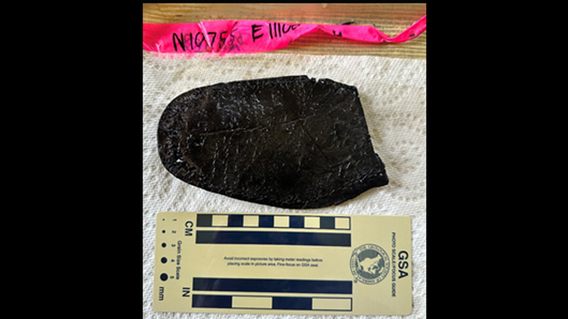 This leather shoe sole was found as students were digging in the mud at the former labor camp site in South Carolina.
