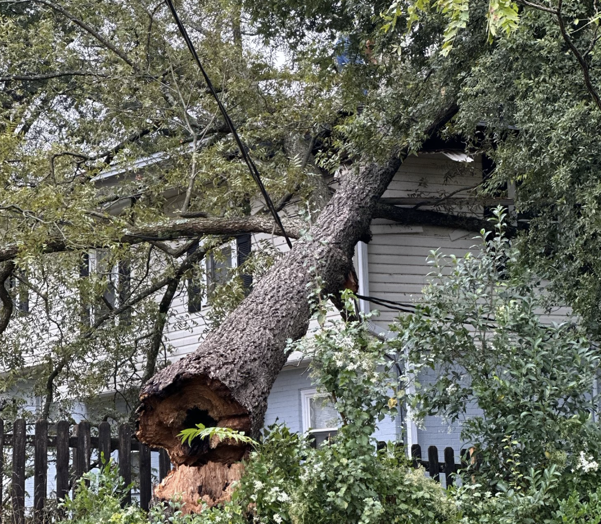 Trees snapped off during Helene caused widespread damage in Greenville County and caused four deaths.