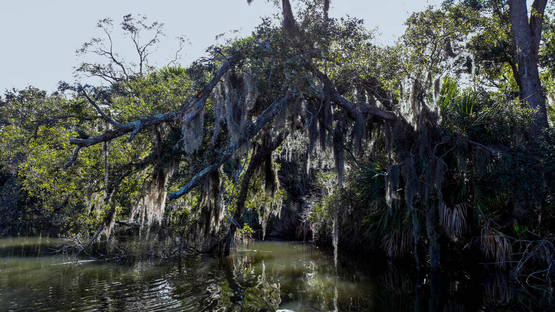 ‘That’s my peace and quiet.’ SC landowner protections pitted against pipeline needs