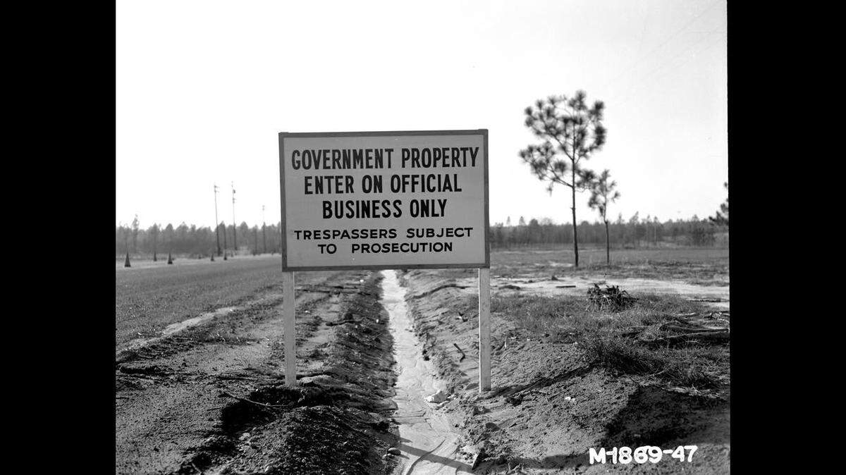 A nest of radioactive wasps was found at the Savannah River Site in Aiken, S.C., which produced plutonium and tritium for nuclear weapons during the Cold War, the Department of Energy says.