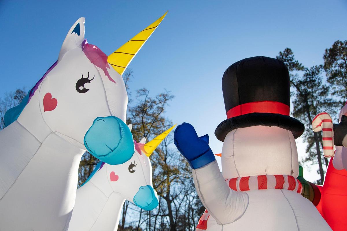 Inflatable unicorns in from the McDonnell family home in Columbia, South Carolina on Thursday, January 14, 2021.