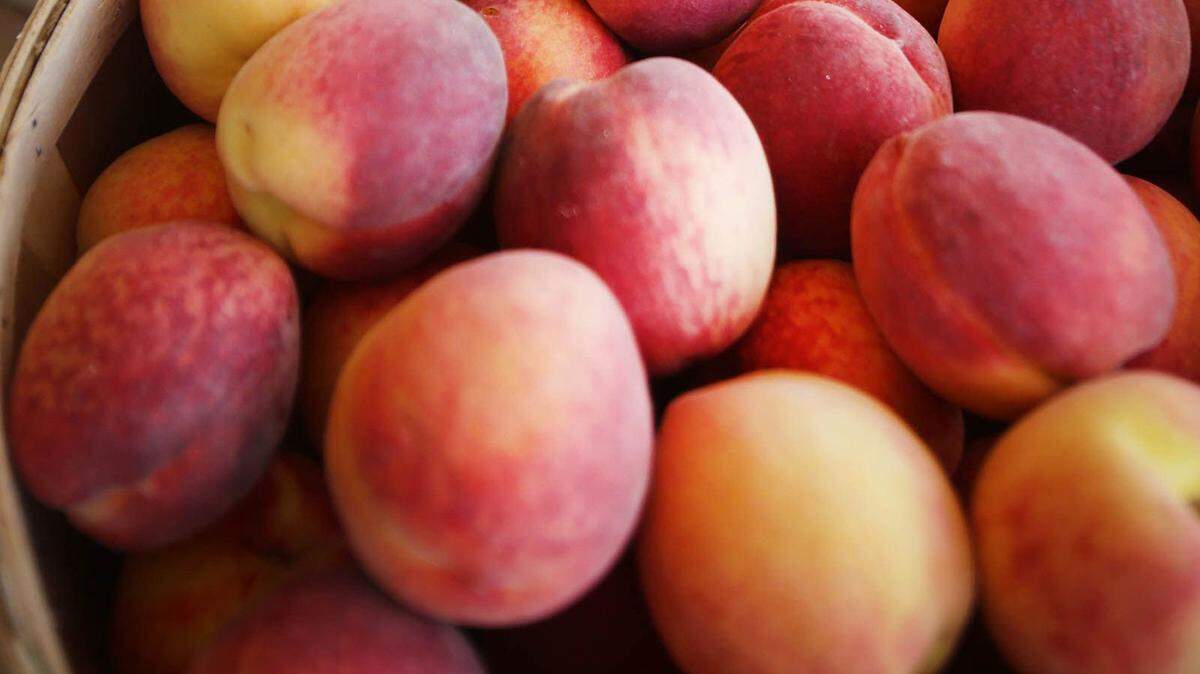 Peach production in South Carolina and many other southeastern states because of an frost during key points of the growing season. (Regina H. Boone/Detroit Free Press/TNS)