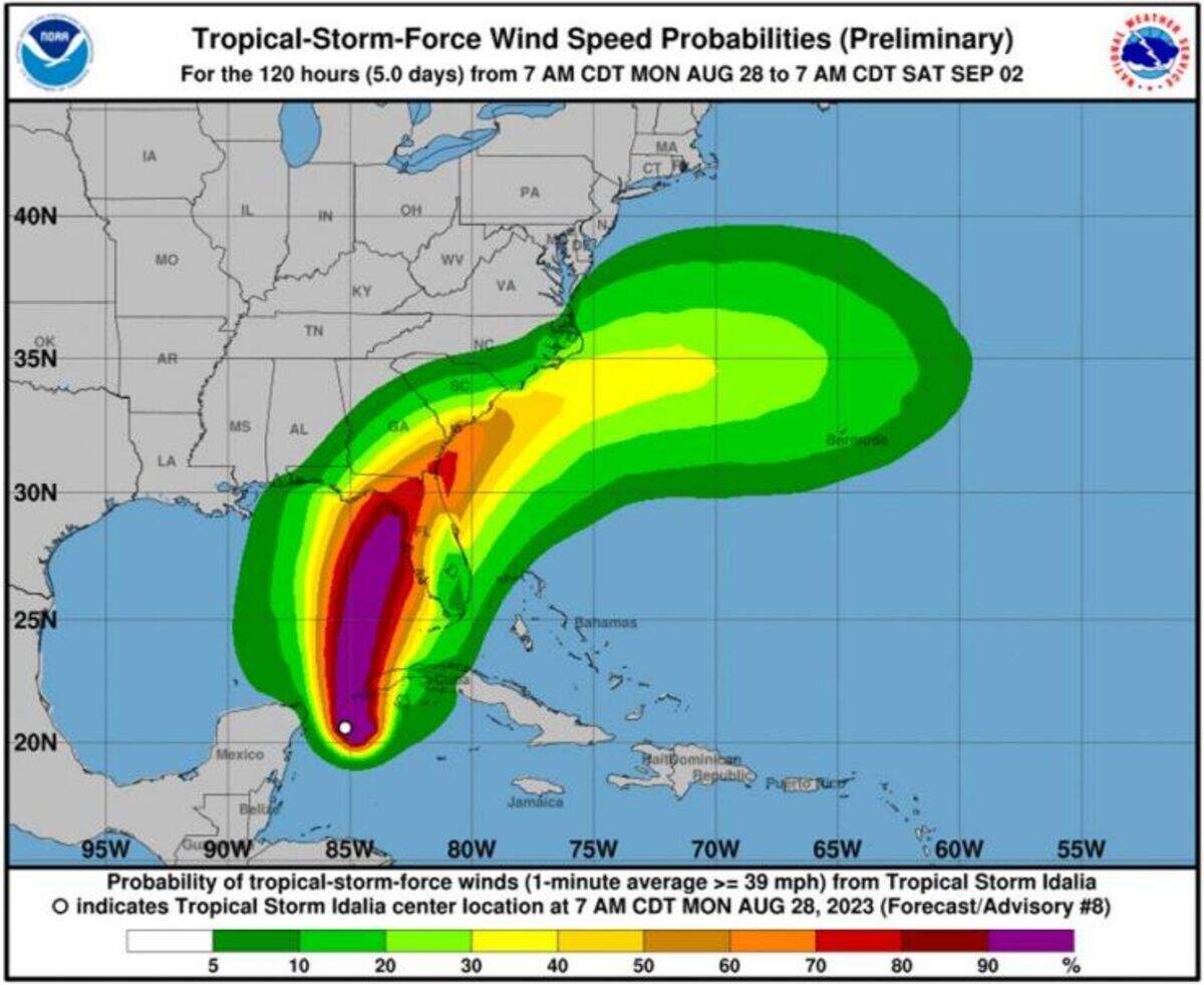 The wind-strength forecast for Tropical Storm Idalia.