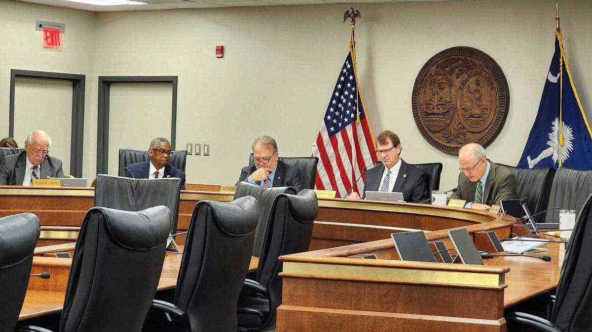 A S.C. Senate Medical Affairs subcommittee listens to testimony on Thursday, March 23, 2023, about two bills that would ban transgender care for minors and restrict certain changes of gender on birth certificates.