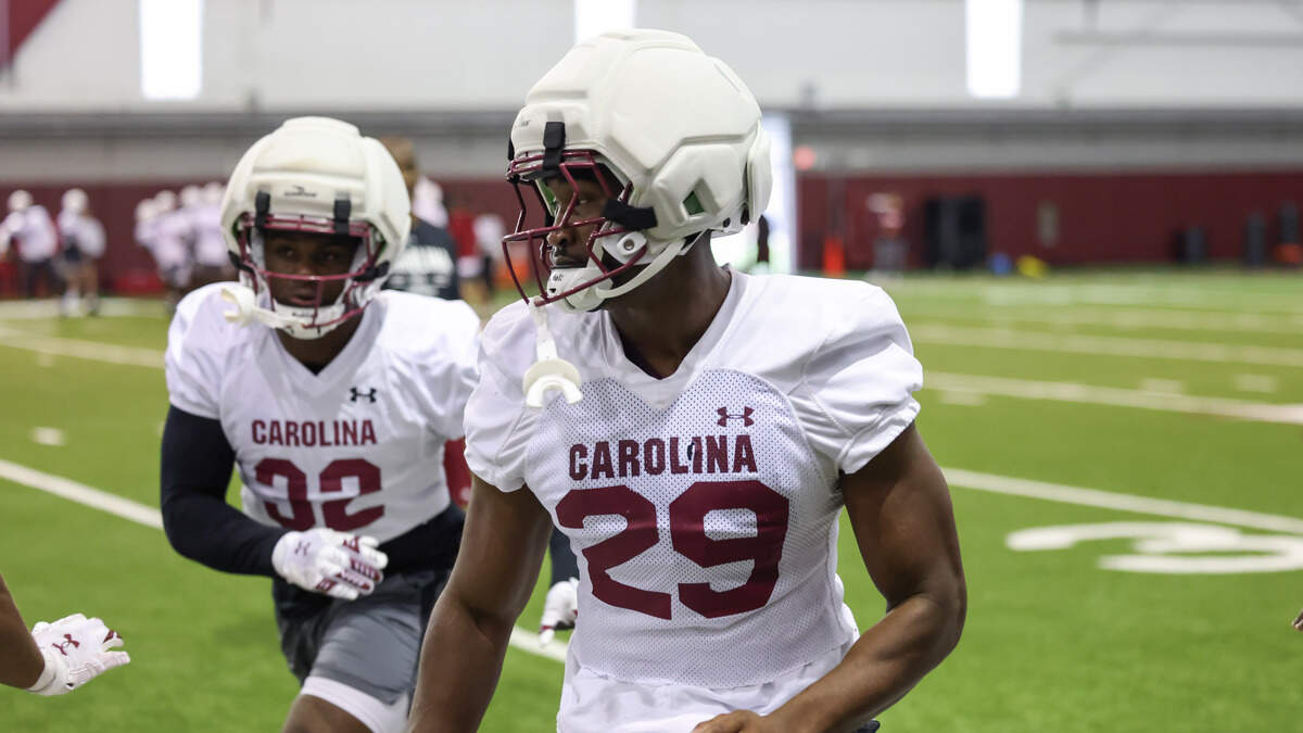 South Carolina linebacker Taeshawn Alston (29) 