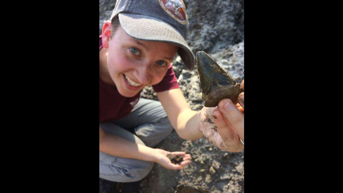 Sarah Boessenecker holds a tooth at the fossil site.