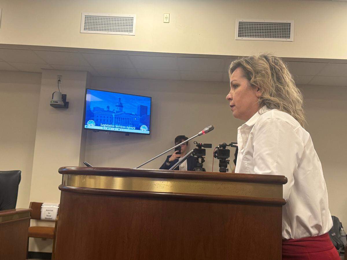State Rep. Sarita Edgerton, R-Spartanburg, speaks about a proposed tax reform proposal on Tuesday, April 1, 2025.