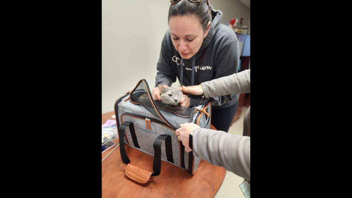 Alexandra Tanner is reunited with Feya, who she reported missing in Mt. Pleasant five years ago.