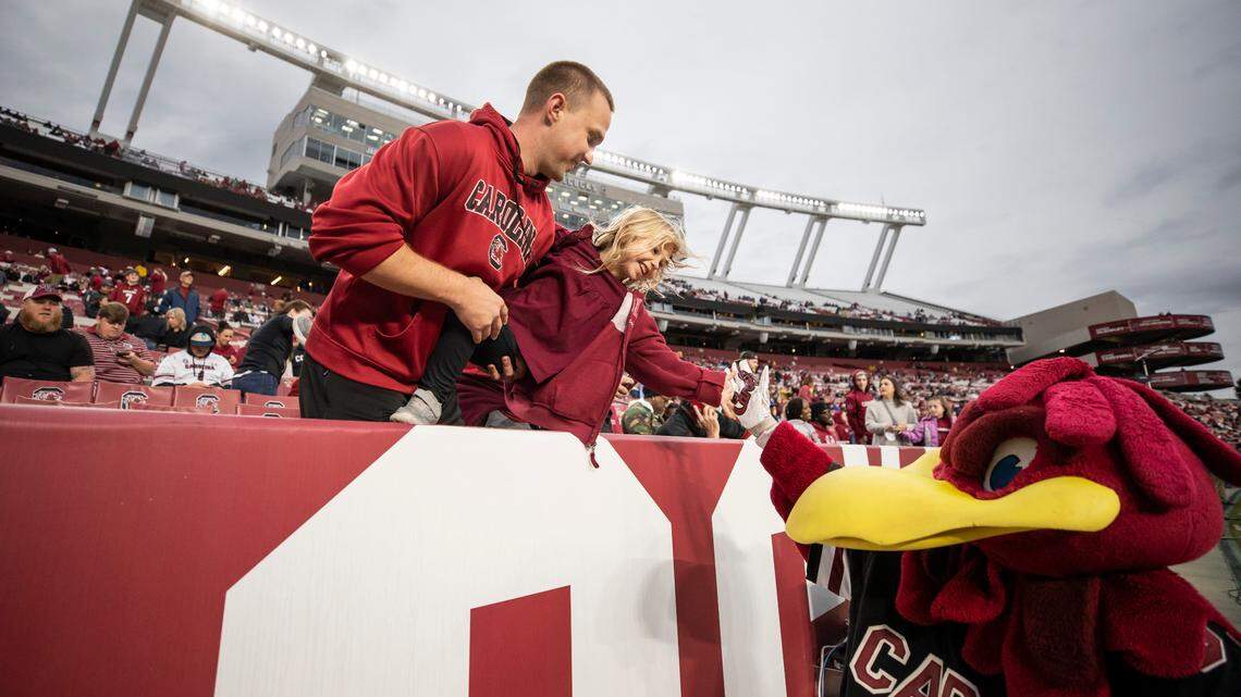 South Carolina mascot Cocky greets fans at Williams-Brice Stadium in Columbia, SC on Saturday, Sept. 29, 2022.