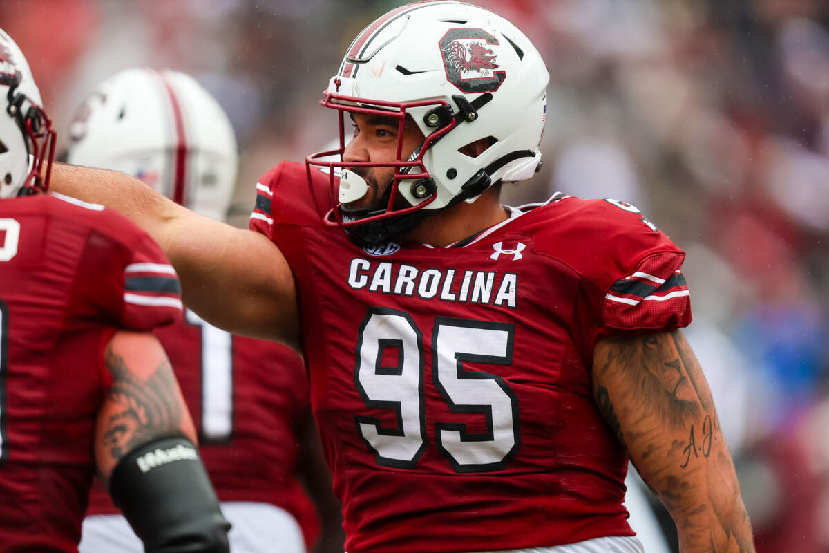 South Carolina Gamecocks defensive tackle Alex Huntley (95) celebrates after making a touchdown reception on offense against the Vanderbilt Commodores in the first quarter at Williams-Brice Stadium.