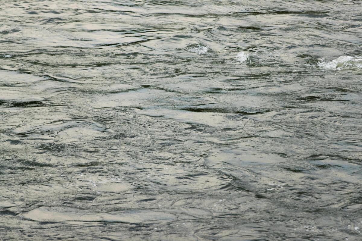 Fast moving water in the Congaree river on Tuesday, May 25, 2021. Recently five people without flotation devices were rescued from the river by a passing jogger who heard their screams for help.
