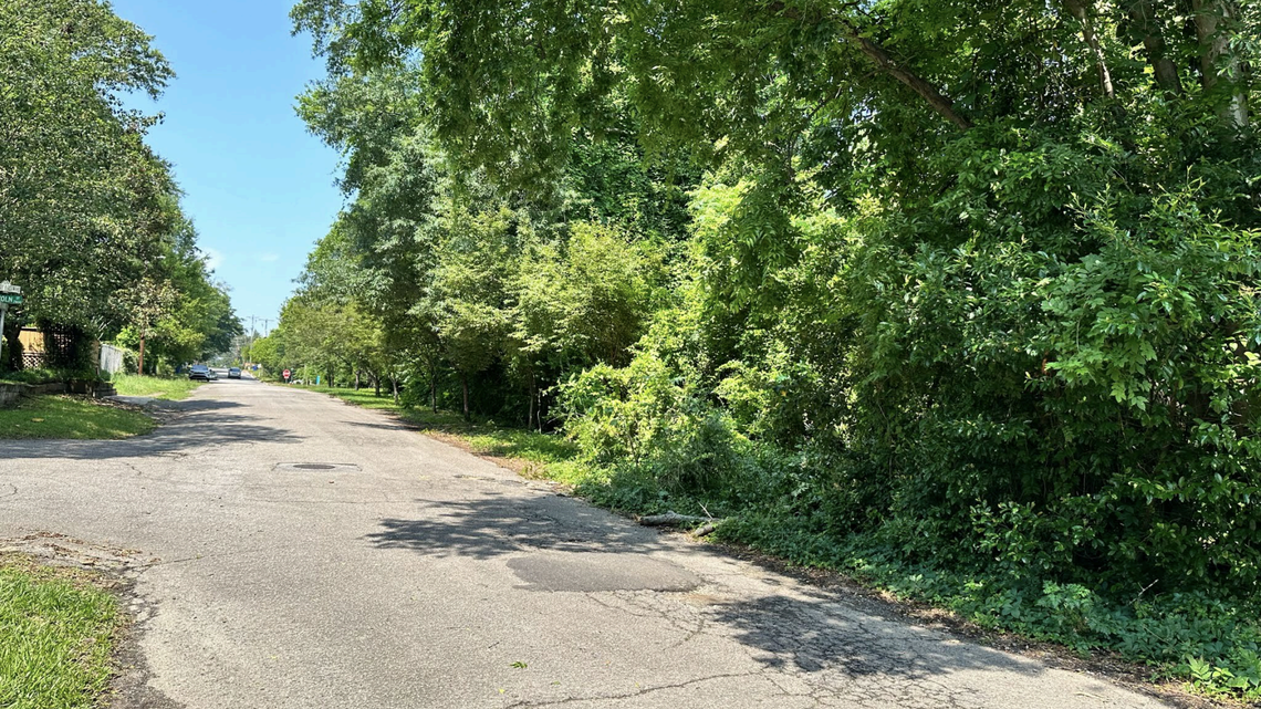 A photo submitted by Layafe Custom Homes to the Columbia Design/Development Review Commission of the southern end of the empty lot on Beaufort Street. The company plans to place five of the planned 17 townhouses in this area.