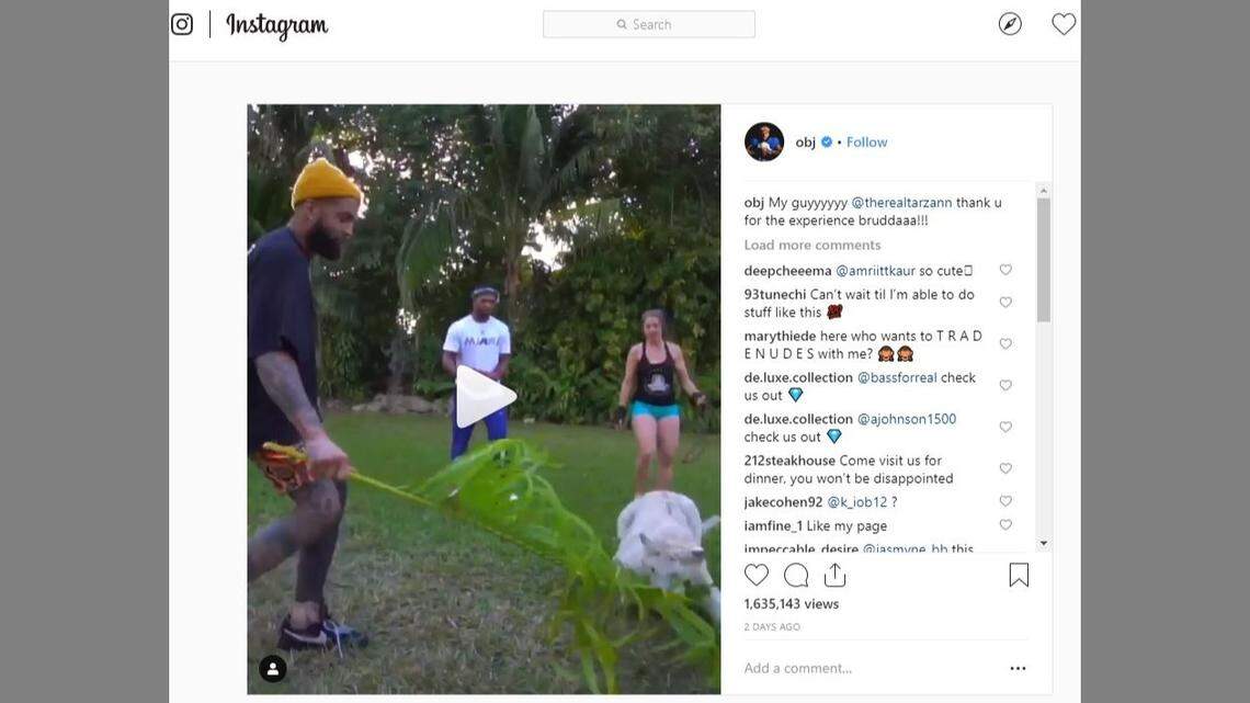NFL star Odell Beckham Jr. posted a video of him playing with animals that was criticized by PETA.