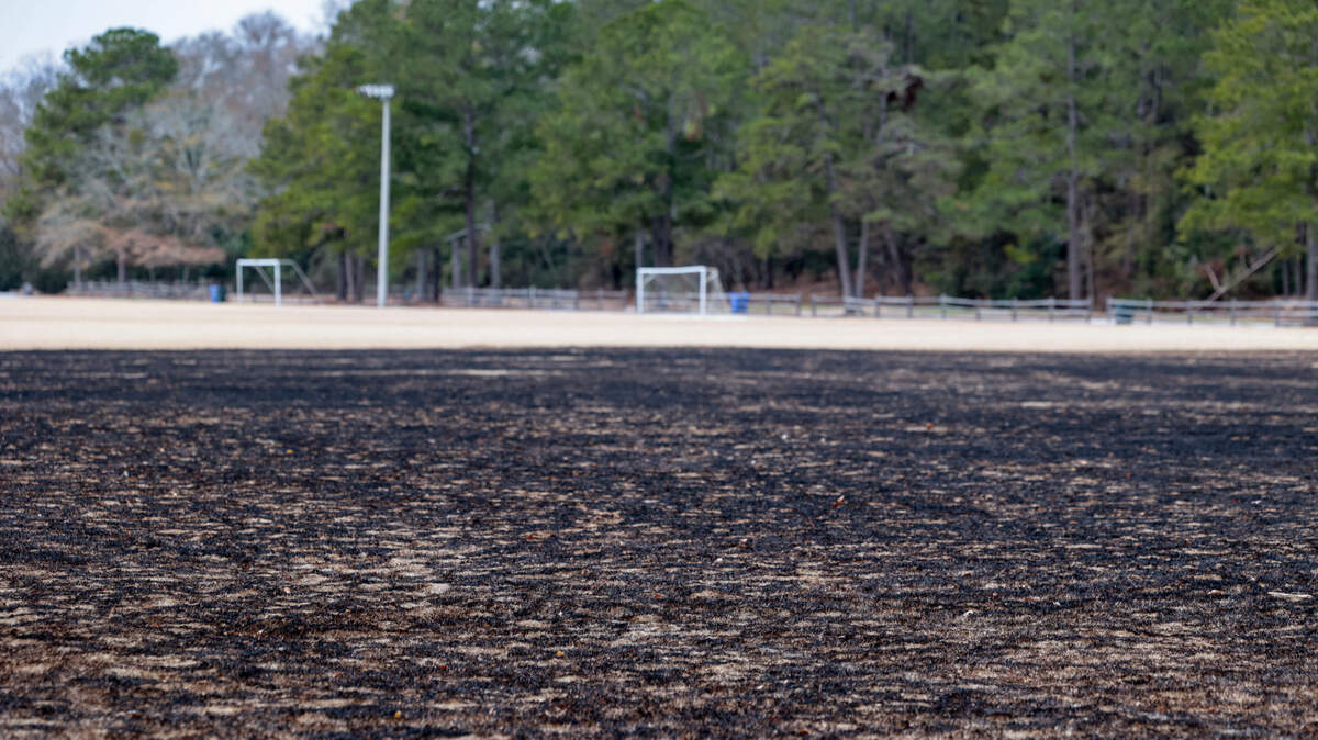 A portion of the new turf at the soccer fields at Owens Field Park was destroyed by a fire on New Year’s Eve.